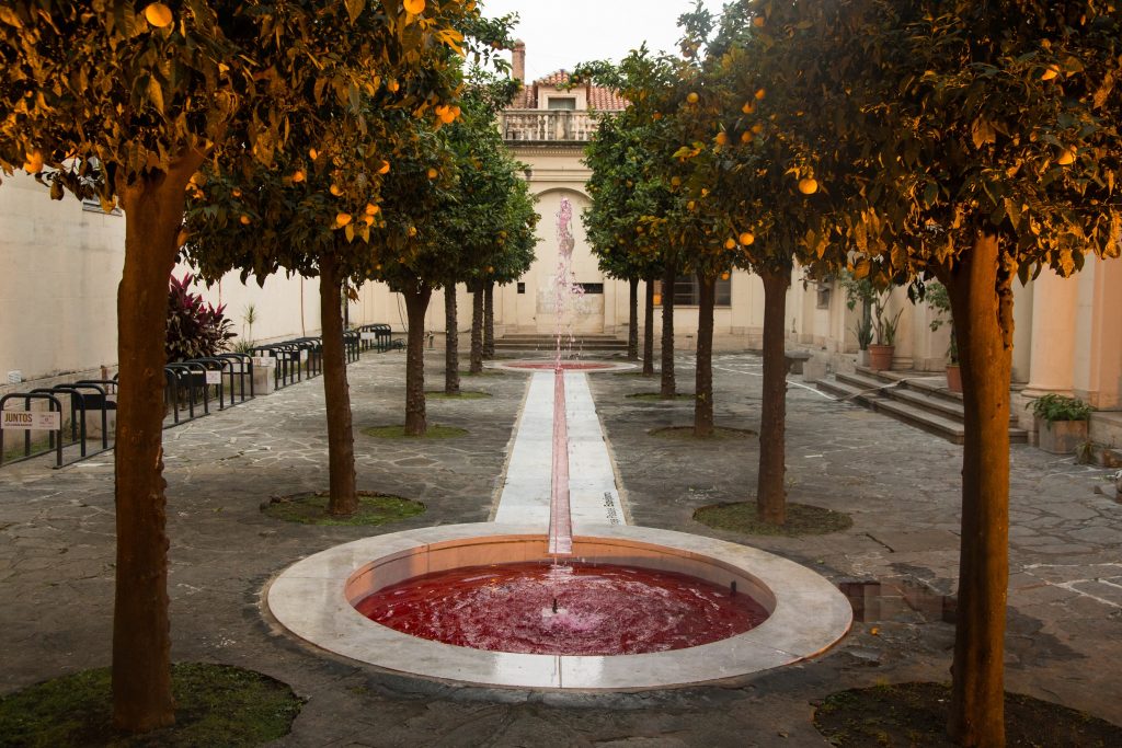 Patio los Naranjos